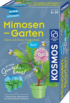 Mimosen-Garten