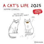 A Cat's Life 2025 - Wand-Kalender - Broschüren-Kalender - 30x30 - 30x60 geöffnet - Katzen - Cartoon