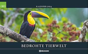 GEO Bedrohte Tierwelt 2024 - Wand-Kalender - Tier-Kalender - Poster-Kalender - 58x36