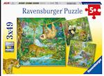 Ravensburger Kinderpuzzle 05180 - Im Urwald - 3x49 Teile Puzzle für Kinder ab 5 Jahren