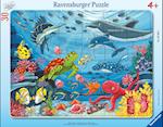 Ravensburger Kinderpuzzle - Unten im Meer - 30-48 Teile Rahmenpuzzle für Kinder ab 4 Jahren
