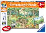 Ravensburger Kinderpuzzle - 05673 Tiere im Wald und auf der Wiese - 2x12 Teile + Wissensposter, Wieso? Weshalb? Warum? Puzzle für Kinder ab 3 Jahren