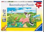 Tierkinder auf dem Land. Puzzle 2 x 12 Teile