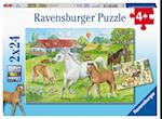 Auf dem Pferdehof - Puzzle mit 2x24 Teilen