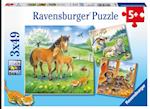 Kuschelzeit. Kinderpuzzle 3 x 49 Teile