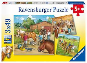 Mein Reiterhof. Puzzle (3 x 49 Teile)