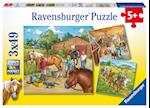 Mein Reiterhof. Puzzle (3 x 49 Teile)