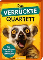 Das verrückte Quartett