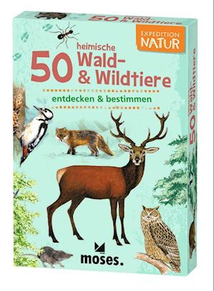 Expedition Natur. 50 heimische Wald- & Wildtiere