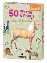 Expedition Natur 50 Pferde & Ponys