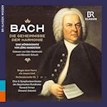 J. S. Bach: Die Geheimnisse der Harmonie