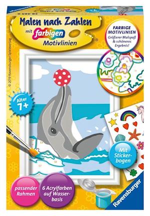 Delfin - Mal-Set