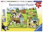 Süße Katzen und Hunde. Puzzle 3 x 49 Teile