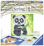String it Midi: Panda & Fox