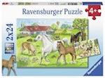 Auf dem Pferdehof - Puzzle mit 2x24 Teilen