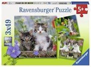 Süße Samtpfötchen - Puzzle mit 49 Teilen