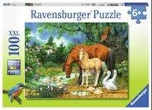 Idylle am Teich - Puzzle mit 100 Teilen