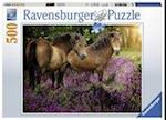 Ponys in der Heide - Puzzle mit 500 Teilen