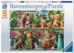 Katzen im Regal - Puzzle mit 500 Teilen