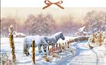 Wandkalender - Winterponys