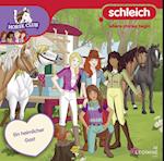 Schleich Horse Club CD 23
