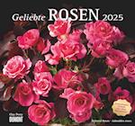 Geliebte Rosen 2025 - DUMONT Wandkalender - mit allen wichtigen Feiertagen - Format 38,0 x 35,5 cm