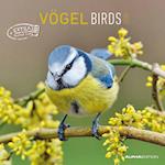 Vögel 2025 - Broschürenkalender 30x30 cm (30x60 geöffnet) - Kalender mit Platz für Notizen - Birds - Bildkalender - Wandkalender - Vogelkalender