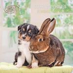 Tierfreundschaften 2025 - Broschürenkalender 30x30 cm (30x60 geöffnet) - Kalender mit Platz für Notizen - Animal Friendships - Bildkalender - Planer