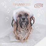 Funny Dogs 2025 - Broschürenkalender 30x30 cm (30x60 geöffnet) - Kalender mit Platz für Notizen - Hunde - Bildkalender - Wandkalender - Hundekalender