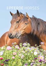 Pferde 2025 - Bildkalender 23,7x34 cm - Kalender mit Platz für Notizen - mit vielen Zusatzinformationen - Horses - Wandkalender - Alpha Edition