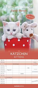 Kätzchen 2025 Familienplaner - Familienkalender - Wandkalender - 19,5x45