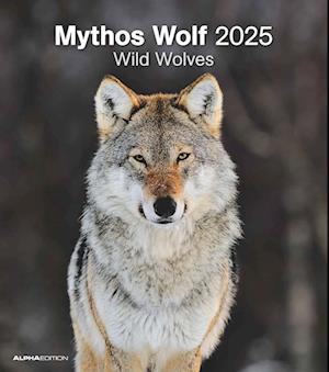 Mythos Wolf 2025 - Foto-Kalender - Wand-Kalender - 30x34