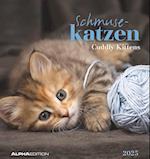 Schmusekatzen 2025 - Postkartenkalender 16x17 cm - Katzen - zum Aufstellen oder Aufhängen - Monatskalendarium - Gadget - Mitbringsel - Alpha Edition