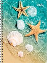 Ladytimer Ringbuch Beach 2025 - Taschen-Kalender A5 (15x21 cm) - Schüler-Kalender - Weekly - Ringbindung - 128 Seiten - Alpha Edition