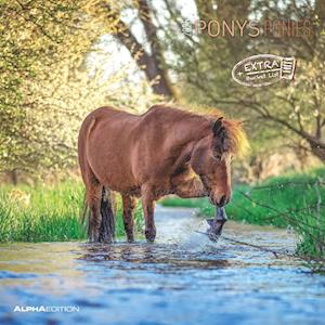 Ponys 2025 - Broschürenkalender 30x30 cm (30x60 geöffnet) - Kalender mit Platz für Notizen - Ponies - Bildkalender - Wandplaner - Pferdekalender