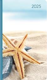 Ladytimer Slim Sea Star 2025 - Taschen-Kalender 9x15,6 cm - Seestern - Weekly - 128 Seiten - Notiz-Buch - Alpha Edition