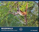 Regenwald 2025 - Bild-Kalender - Poster-Kalender - 60x50