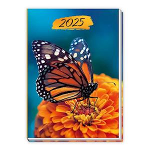 Trötsch Taschenkalender A7 Schmetterling 2025