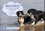Max und Molly - zwei Hunde vertragen sich wieder. Kamishibai Bildkartenset.