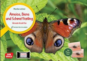 Ameise, Biene und Schmetterling. Unsere Insekten. Kamishibai Bildkarten und Memo-Spiel.