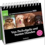 Postkartenkalender 2025: Von Pechvögeln und bunten Hunden