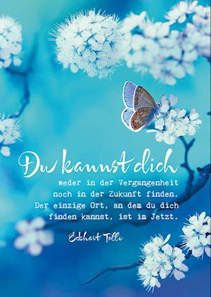 Eckhart Tolle Postkarten "Du kannst dich"