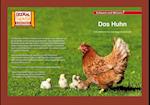 Kamishibai: Das Huhn