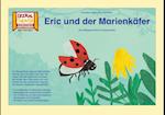 Eric und der Marienkäfer / Kamishibai Bildkarten