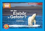 Ist der Eisbär in Gefahr? / Kamishibai Bildkarten