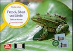Frosch, Biber und Libelle. Tiere am Wasser. Kamishibai Bildkarten und Memo-Spiel