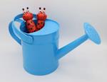 Watering Can & Tool Set
