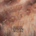 Citizen of glass - CD