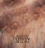 Citizen of glass - VINYL