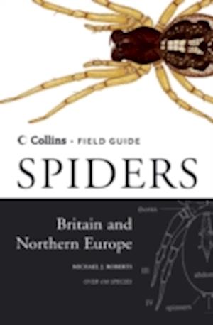 Spiders of Britain and Northern Europe